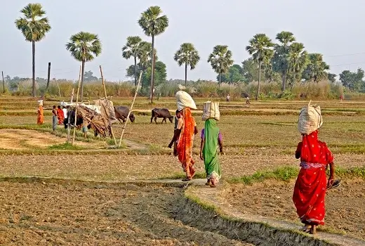 Frauen im Süden Indiens beim Wassertragen