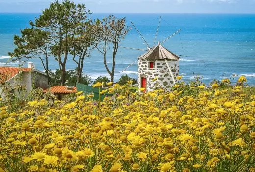 Landschaft mit Windmühle an der Atlantikküste