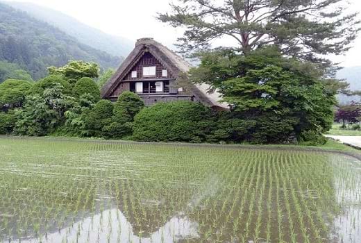 Reisesel in den Japanischen Alpen auf Honshu Japan